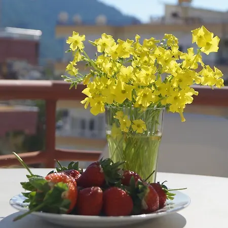 Elegant Baronessa Apart 3* Alanya