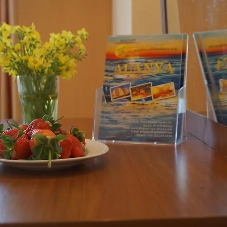 Elegant Baronessa Apart アパートホテル