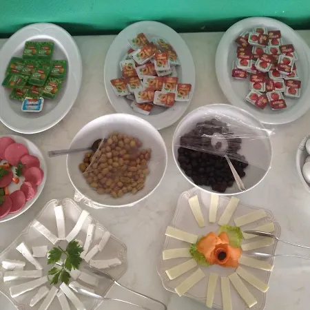 アパートホテル Elegant Baronessa Apart アランヤ